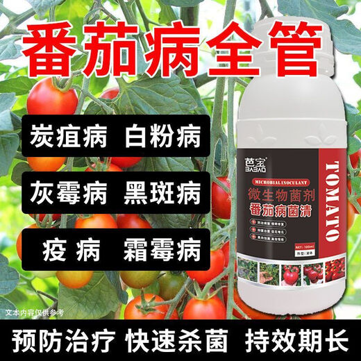 Tomato Disease Bacteria Clearing Microbial Bacteria Tomato Disease Botrytis Botrytis Anthrax Fungicide Non-Toxic Bacteria-Inhibiting Bacteria Best Selling Tomato Bacteria Clearing Tomato Bacteria Clearing 100g 1 Bottle