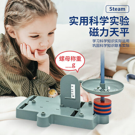 Learning Youma Physics 12-in-1 Magnetic Science Experiment Set Interest Cultivation Magnetic Float Box Plastic Toys English Packaging (SD55112 Playing Methods