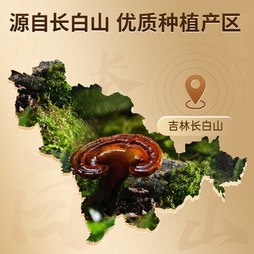 雷允上【官方】破壁灵芝孢子粉 1g/袋*60袋装长白山赤灵芝精粹增强免疫 【2个月装】灵芝孢子粉60g*2盒