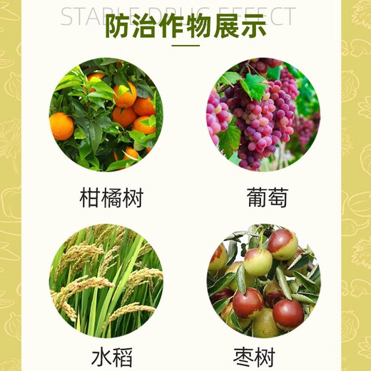 Qibao American 20% gibberellic acid 920 plant growth regulating gibberellin grape germination pesticide elongation agent genuine 1000g