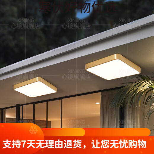 CLCEY全铜户外吸顶灯别墅大门口门前灯室外过道阳台灯防蚊虫庭 X3895-4 X3895-400/圆形/三色可调