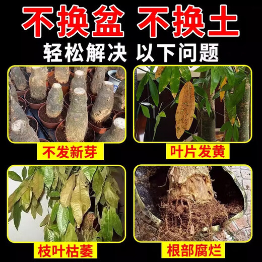 Aishangke plant regenerator universal concentrated nutrient solution powerful germination, rooting and seedling resurrection liquid dead tree flowers universal type 18g 18 bottles three boxes buy two get one free