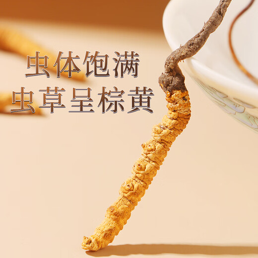 内廷上用北京同仁堂冬虫夏草1g整根粗壮官方旗舰店正品头期虫草干货滋补