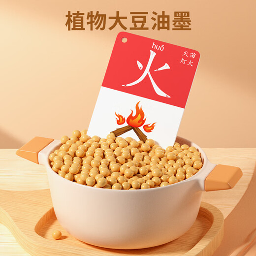 SEMALAM CHIDE ENREGISTATION CARTACE 3000 mots Pictogram de maternelle Voir les caractères chinois bébé Early Education Improminance Mot Reconnaissance complète Set de jouets 1-100 Pictogrammes [1 Box Experience Package]