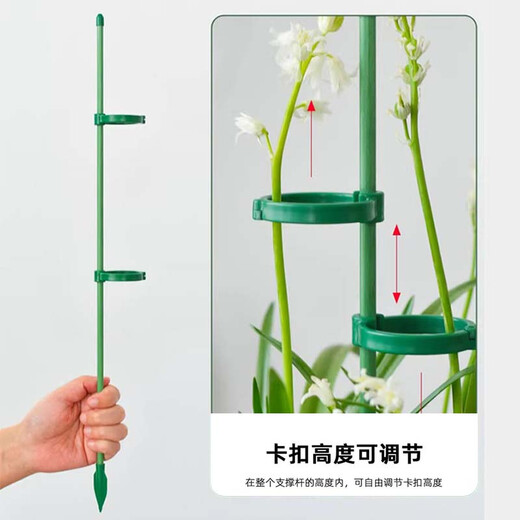 Shanghai Gardener Plant Support Pole Monstera Flower Support Frame Green Planting Gardening Vegetables Tomato Climbing Frame Prevent Lost Fixed Artifact 30cm/3 high roots 6 snaps + 3 floor inserts