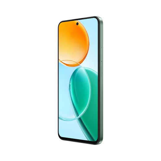 荣耀（HONOR）Play9T 大屏AI 6000mAh大电池 双扬大音量 8GB+256GB 松石绿  5G AI智能手机【移动用户专享】