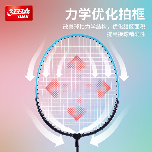 红双喜（DHS）羽毛球拍对拍套装训练比赛成人儿童学生防磨深凹槽羽拍P100 附3球