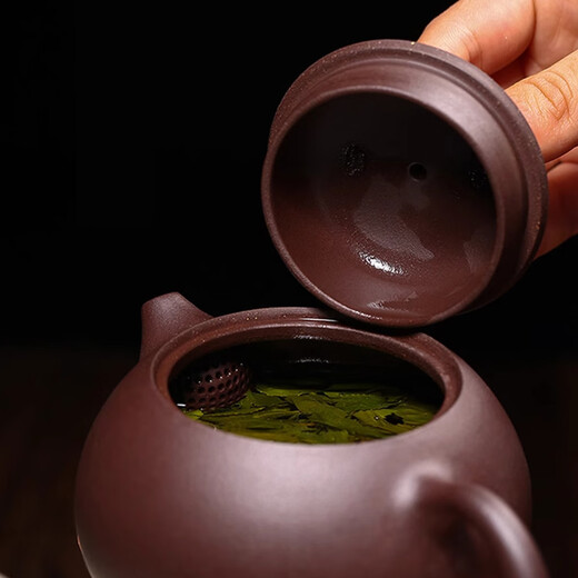 Zhewe Zisha Pot reiner handgefertigter Meister Zhenxi Shi Pot Haushalt Teekanne Tee Set LLSN9764 Getränkekapazität 450 ml