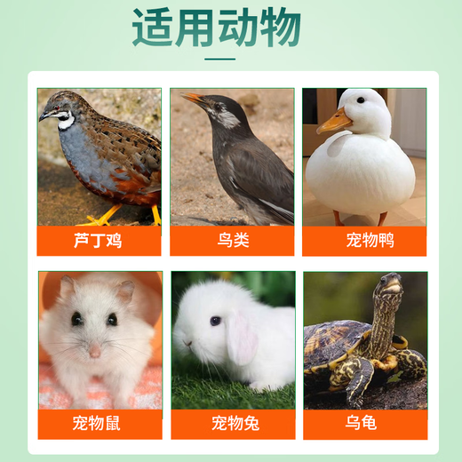 Pet electrolytic multi-dimensional bird multi-dimensional electrolyte is specially designed to meet the daily nutritional supplement stress response of small pets. Small pet electrolytic multi-dimensional 2 cans/100g