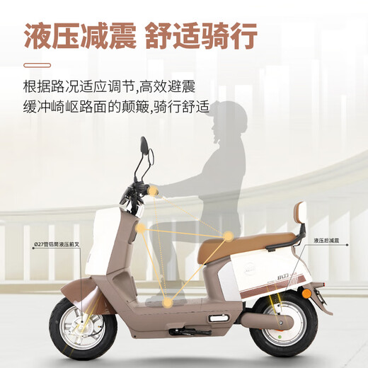 Xiaodao Electric Vehicle 60V20Ah Lead Acid Electric Motorcycle Smart Bluetooth Unlocked Electric Motorcycle Pedal Commuting Battery Car New Moonlight White-APP Bluetooth Unlocked