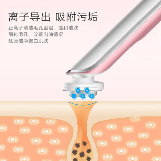 美容仪器家用脸部精华导入仪面膜面部按摩导入导出洁面仪 KD9930白色[深层清洁][营养导