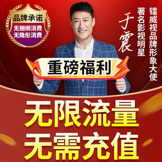 镭威视4g三摄像头终身免流量监控器360度无死角带夜视全景手机远程AI摄像头无需网络无需wifi农村室外 4G免充值】断电可续航+128G
