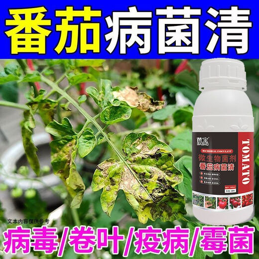 Tomato Disease Bacteria Clearing Microbial Bacteria Tomato Disease Botrytis Botrytis Anthrax Fungicide Non-Toxic Bacteria-Inhibiting Bacteria Best Selling Tomato Bacteria Clearing Tomato Bacteria Clearing 100g 1 Bottle