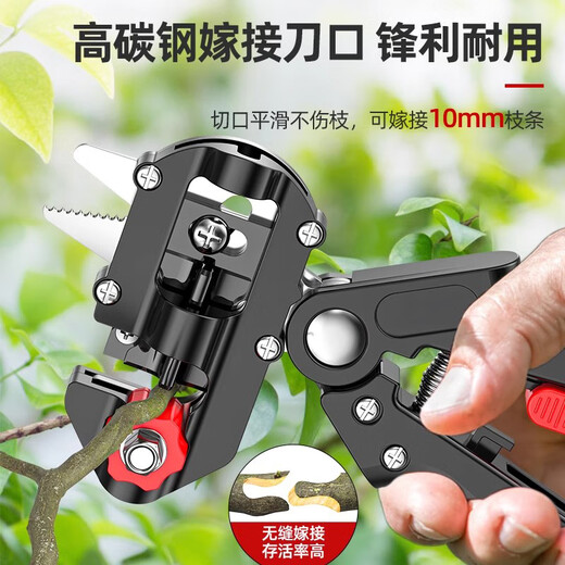 German Seiko Grafting Special Knife Multifunctional Garden Fruit Tree Seedlings Flower Art Tools Full Set of Scissors 1 Quality Upgraded Steel