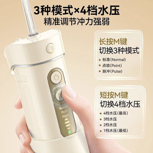英普利（ENPULY）冲牙器便携式家用洗牙器水牙线正畸专用清洁牙齿缝洗牙神器 奶白色【12种压力调节】4支喷嘴/Y826