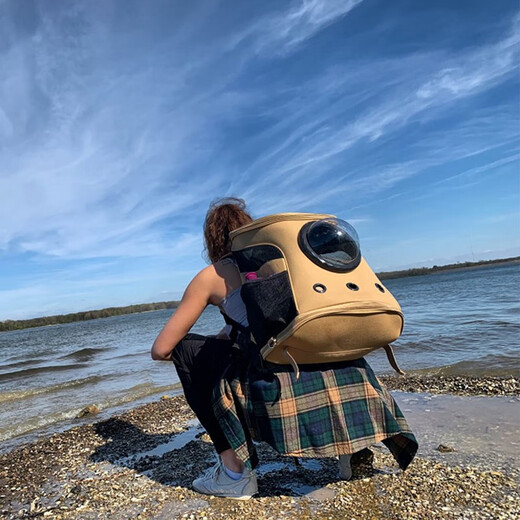 Japanese imported dog backpack, pet outing portable bag, dog backpack, book bag, Corgi Shiba Inu Maine Coon cat bag, large canvas khaki ---- gold accessories, standard four-piece set + clover