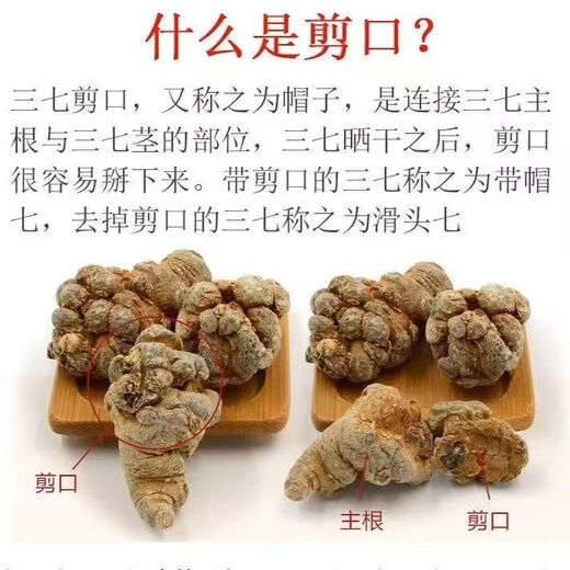 Panax NotoginSeng, authentischer Yunnan Wenshan Chun Panax Notoginseng, wild chinesischer Kräutermedizin Tianqi, Spezialgrad Slip-tall-tall-verstreute verstreute verstreute verstreute verstreute verstreute verstreute, verstreute verstreute verstreute verstreute verstreute verstreute verstreute verstreute verstreute verstreute verstreute verstreute verstreute verstreute verstreute verstreute verstreute verstreute verstreute verstreute verstreute verstreute verstreuten verstreuten verstreuten verstreuten verstreuten verstreuten verstreuten verstreuten verstreuten verstreuten verstreuten verstreuten verstreuten verstreuten verstreuten verstreuten verstreuten verleum