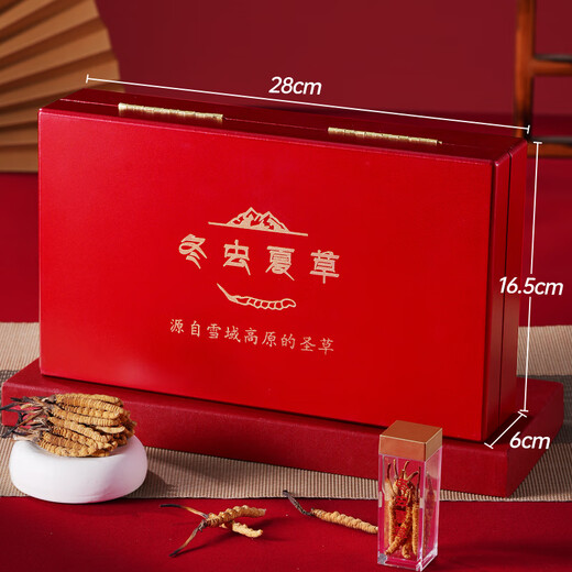 Zangxitang Cordyceps sinensis hohe Höhe neue getrocknete Cordyceps Geschenkbox mit getrockneten Waren Cordyceps sinensis Kopfperiode 4 Wurzeln/G 10 Gramm Gesamt 40 Wurzeln [Hongyun Geschenkbox]