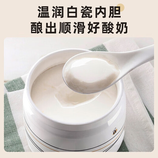 小熊（Bear）酸奶机 家用全自动定时自制米酒机泡菜机 送陶瓷6分杯 微电脑智控免看管