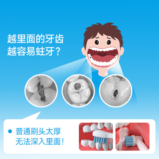 Little Elephant Baby New Year's gift for children Ultra-thin brush head children's electric toothbrush vibration frequency age-specific gum protection deep cleaning anti-moth 3-6-9-12 years old soft bristles do not hurt teeth 3-6 years old special for deciduous teeth-Sakura powder