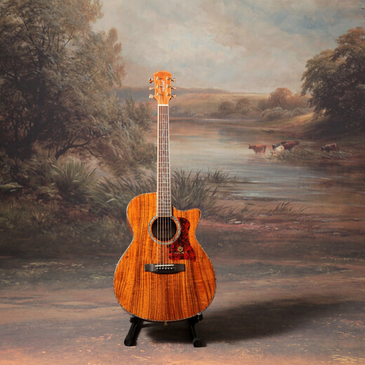 
Juliet Guitar Juliet Guitar F718