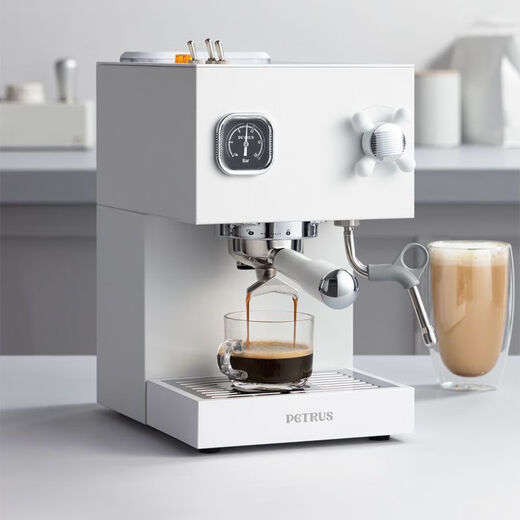 Petrus PE3888 Máquina de café italiano de doble caldera para el hogar Semiautomático Small All-in-One Machine Milk Sokeing Ice Americano