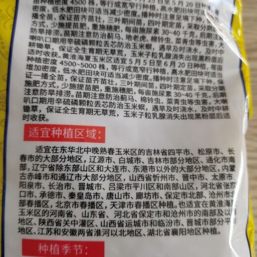 明天695高产玉米种子矮杆大棒耐密 明天695玉米种抗病抗倒伏 明天695玉米种子