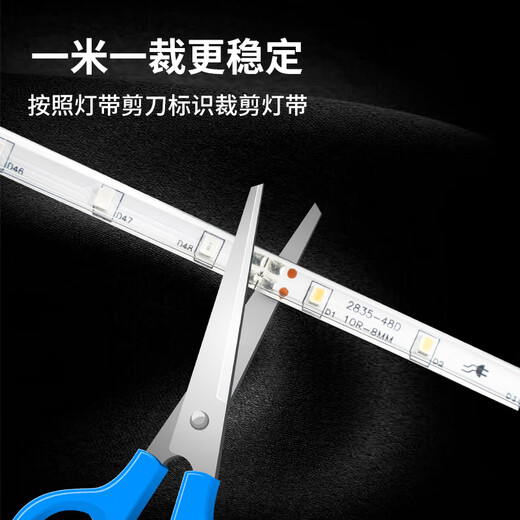 Beigong LED Marquee Strip Outdoor Colorful Festival Atmosphere Running Light Strip Outdoor Waterproof Color Changing High Brightness Signature Neon Soft Light Strip 220V Six Colors 48 Lights 20 Meters Rainproof Set