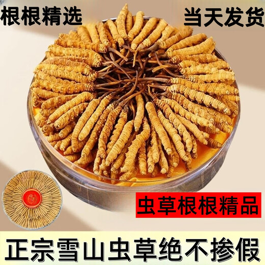 【假一赔十】雪山冬虫夏草正宗藏区虫草正品冬虫草礼盒装虫草干货 西藏那曲虫草3条一克合计10条