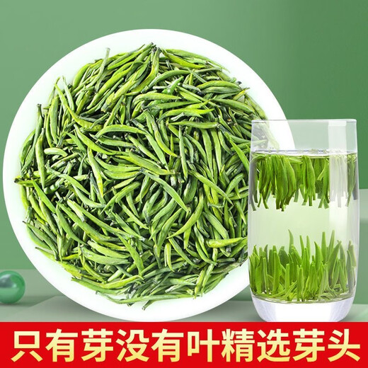 御贡仙芽特级头采雀舌绿茶茶叶2025新茶礼盒送礼明前全芽头嫩芽 明前雀舌【500克罐装】