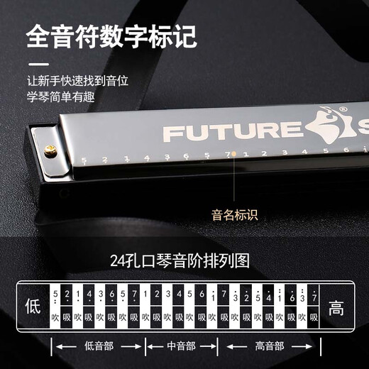 FUTURE STAR（未来之星）24孔复音C调口琴初学儿童学生吹奏入门级乐器 幽邃黑（复音C调+教材大礼包） 无规格