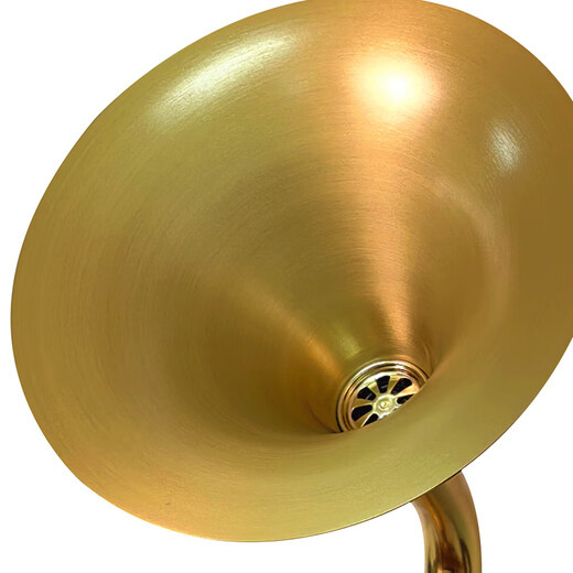 Dufanshi all-in-one CD record player, retro CD player, Bluetooth speaker, wireless speaker, vinyl gramophone shape, mini multi-functional USB Bluetooth speaker, Los Bella (Bluetooth + CD model), dark walnut + charging and plugging + music USB disk