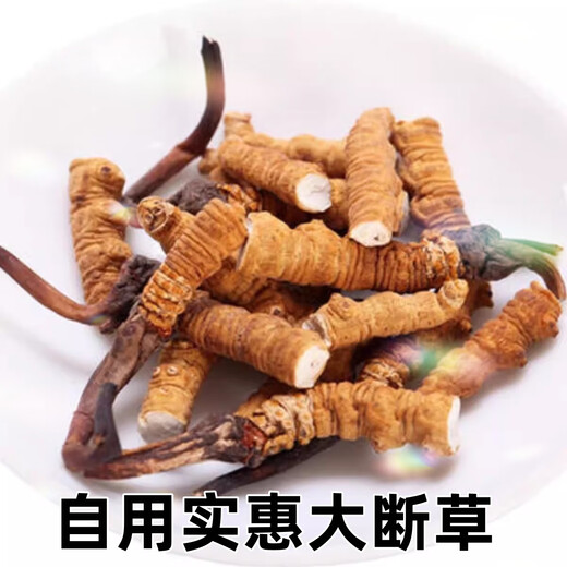 
Xina Tibet Que High-altitude Cordyceps Cordyceps Broken Grass Large bottles High-altitude Self-use authentic home outfits Tibet Naqu Broken Grass 50 grams pack 5 grams hair 55 grams