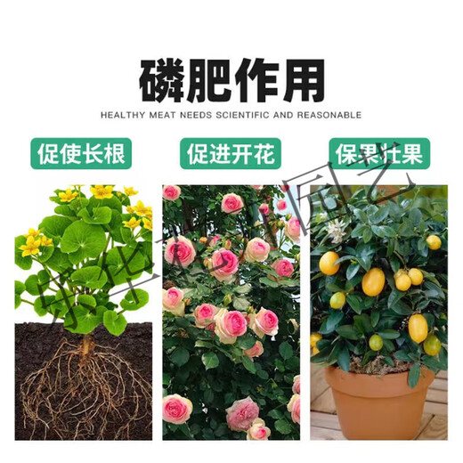 Phosphate fertilizer, superphosphate fertilizer for growing vegetables and flowers, fertilizer for fruit trees, flowers and agricultural crops, general flower-stimulating calcium phosphate fertilizer, phosphate fertilizer 5Jin Jin is equal to 0.5kg (trial)