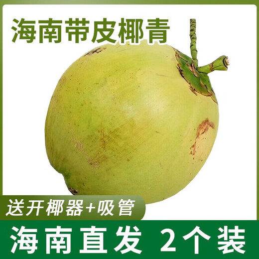 Xirou Hainan Coconut Green Coconut with Skin Green Coconut Fresh Coconut Water Coconut Juice Fruit Healthy Drink for Pregnant Women Freshly Picked Green Coconut with Skin 2 Pack