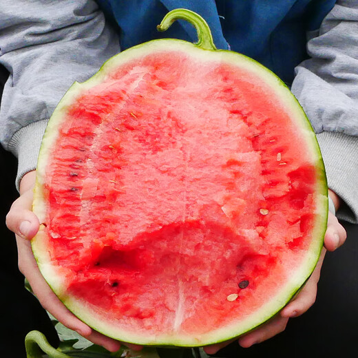 New varieties of Beishu Kirin watermelon seeds, Lazy Man, Southern Meidu watermelon seeds, Zaojia 8424 watermelon seeds 50g/barrel