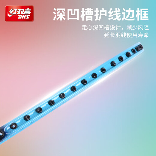 红双喜（DHS）羽毛球拍对拍套装训练比赛成人儿童学生防磨深凹槽羽拍P100 附3球