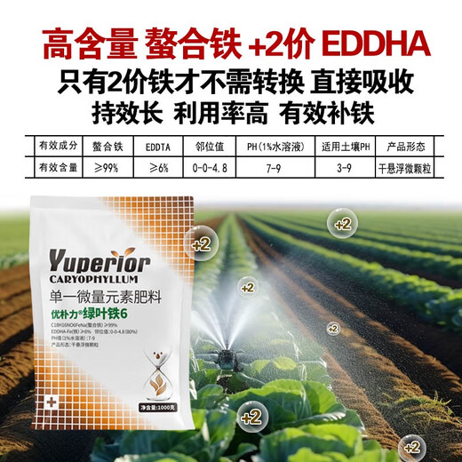 EDDHA-FE6 Fertilizante con hierro quelado Fertilizante foliar Árboles frutales y hortalizas Amarillamiento de los cítricos Hojas amarillas Enfermedad de las hojas blancas Suplemento de hierro Fertilizante soluble en agua EDDHA-Hierro quelado Caja completa 24 Jin Jin equivalente a 0,5 kg