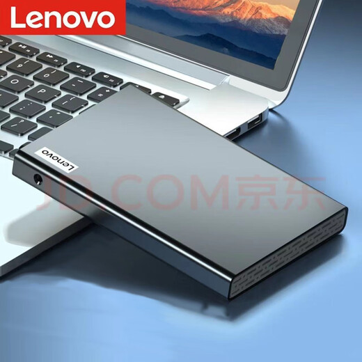 Lenovo Metall 1 TB mobile Festplatte Typ-C 500G kompatibel mit Huawei Xiaomi Apple Computer externe Festplattenbox plus 2000 GB mechanische Festplatte