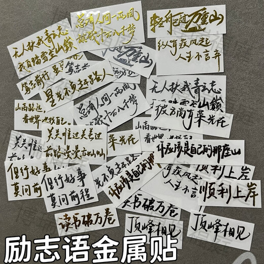 3d立体金属贴纸励志文字语录高考少年激励金句金属贴书桌书本手机 L690号-看世界也找自己  银色