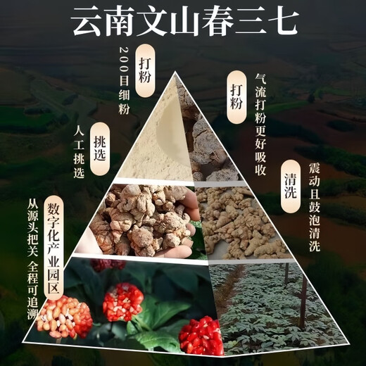Huiyuan Yunnan Panax notoginseng powder 100% genuine 18 heads of natural wild blood and blood stasis removal and middle-aged and elderly people must have super fine powder for health care 3 get 2 [5 cans] The average price is only 18.96/can