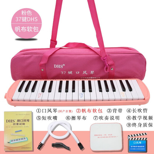 奇美DHS口风琴37键小学生用32键初学者专业演奏级学校吹管小乐器刻字 【学生课堂推荐】37键/粉色