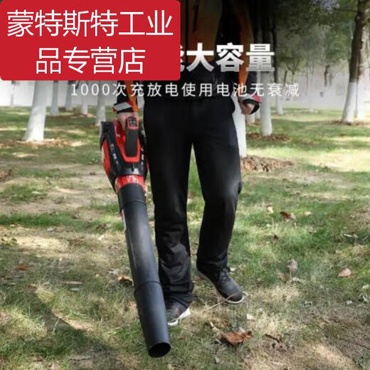 -BT56 lithium hair dryer for blowing snow in greenhouses, fire fighting, blowing leaf dust on the road, one charge and one charge Marunaka - BT56 lithium hair dryer (including battery)