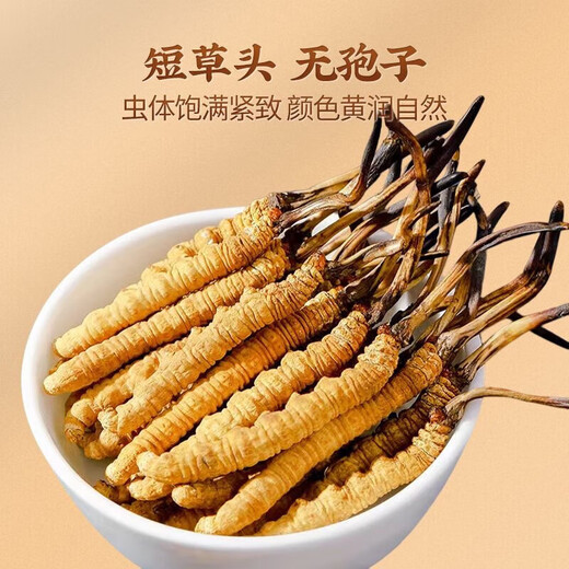 Wanlianwan Cordyceps Cordyceps Geschenkbox Geschenke Geschenke Cordyceps Health Tonics Geschenke für ältere 5 Sticks/Gramm 250 Gramm rot transparent
