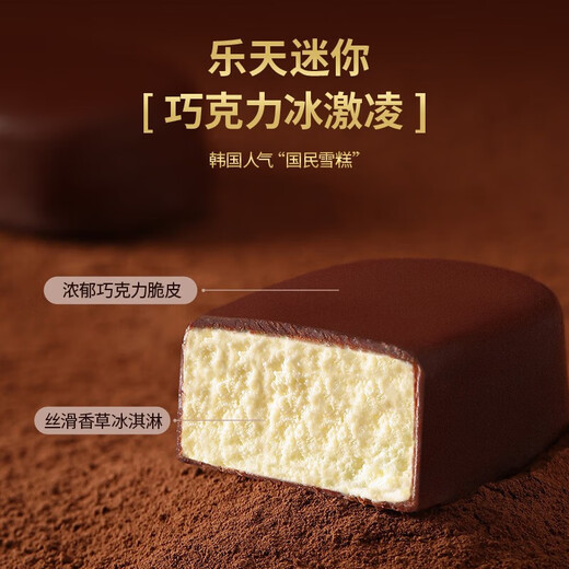 乐天（LOTTE）【组合】韩国进口乐天牛奶巧克力冰淇淋迷你黑巧克力冰激凌雪糕 乐天迷你黑巧2盒(684g)