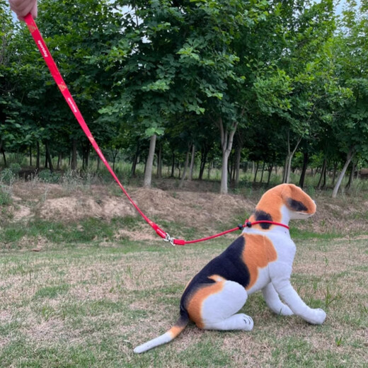 Chongdeduo dog leash p rope dog training dog p chain anti-entanglement pet supplies for medium and large dogs black universal ring