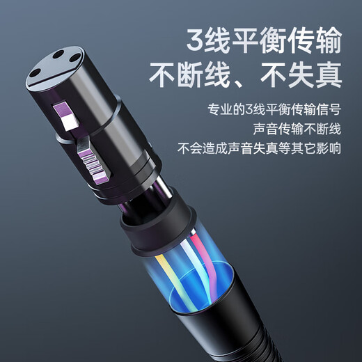 Flash PM320S live broadcast microphone anchor special game e-sports live singing and delivery condenser microphone noise reduction mobile phone computer recording professional microphone Flash PM320 PM320S (cantilever model)