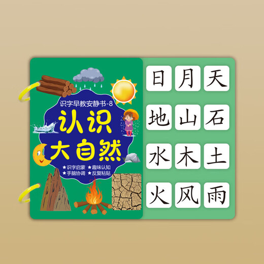 脘铼儿童识字早教3-6岁启蒙认字粘贴书游戏撕拉书幼儿早教玩具 8本一套