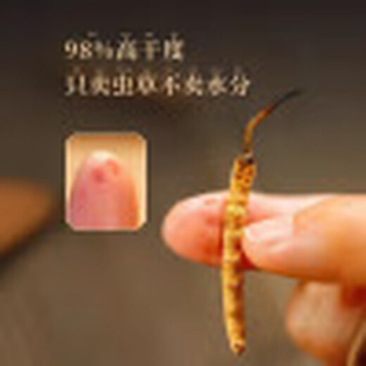 百婉集藏区雪域冬虫夏草 2根/克正宗虫草无断草礼盒装 每单一根