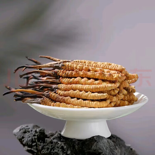 
Cordyceps sinensis in Tibetan areas, snowy first stage, new dried Cordyceps in the first stage, specifications, high-end gift boxes for people to give gifts. 0.6 grams of Cordyceps in Tibetan areas, total 100 pieces of Cordyceps in Tibetan areas